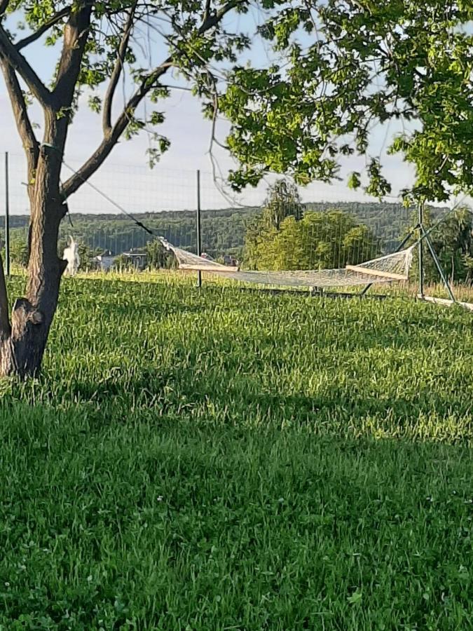 Gosp. Agroturystyczne Stary Gaj Villa Zerkowice Buitenkant foto