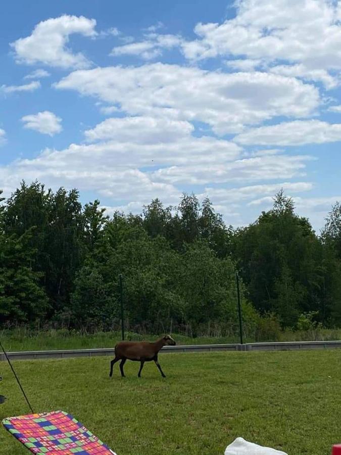 Gosp. Agroturystyczne Stary Gaj Villa Zerkowice Buitenkant foto
