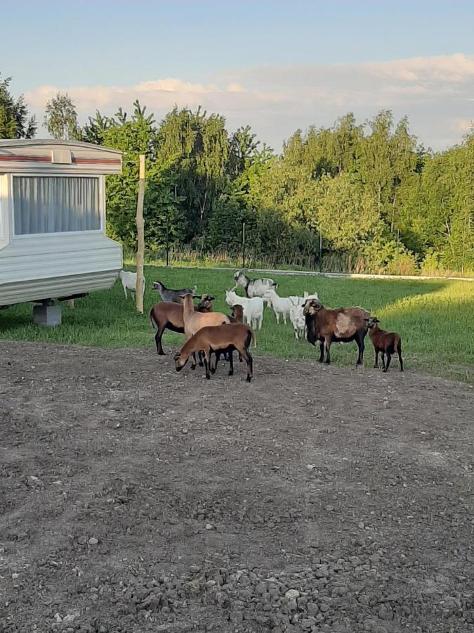 Gosp. Agroturystyczne Stary Gaj Villa Zerkowice Buitenkant foto