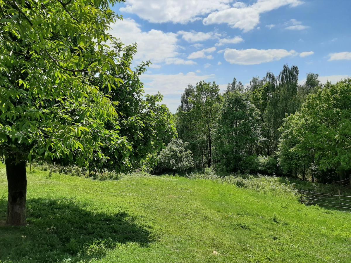 Gosp. Agroturystyczne Stary Gaj Villa Zerkowice Buitenkant foto
