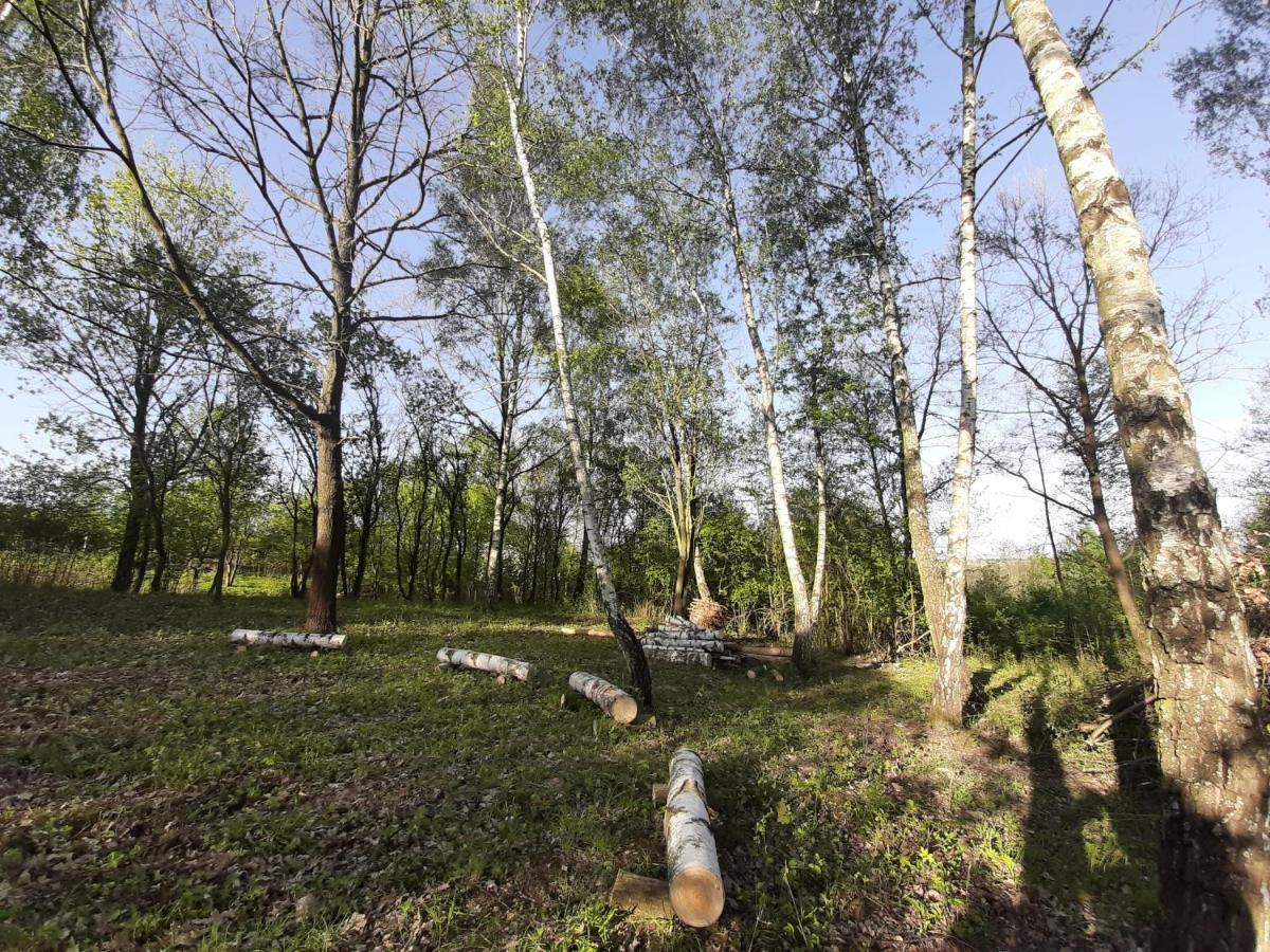Gosp. Agroturystyczne Stary Gaj Villa Zerkowice Buitenkant foto