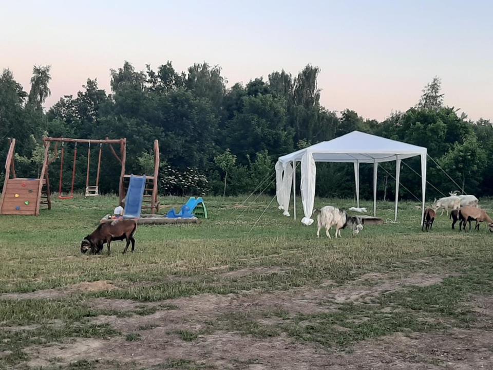 Gosp. Agroturystyczne Stary Gaj Villa Zerkowice Buitenkant foto