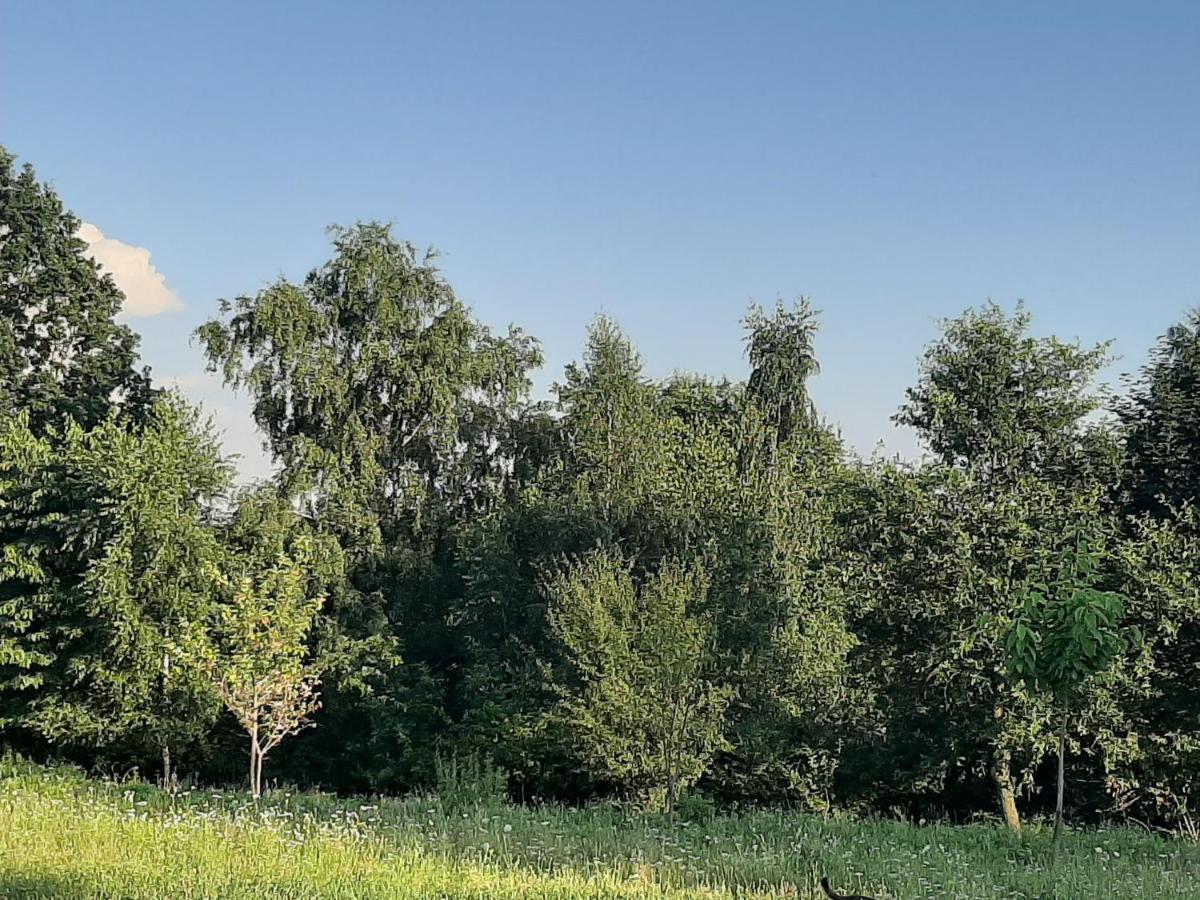 Gosp. Agroturystyczne Stary Gaj Villa Zerkowice Buitenkant foto